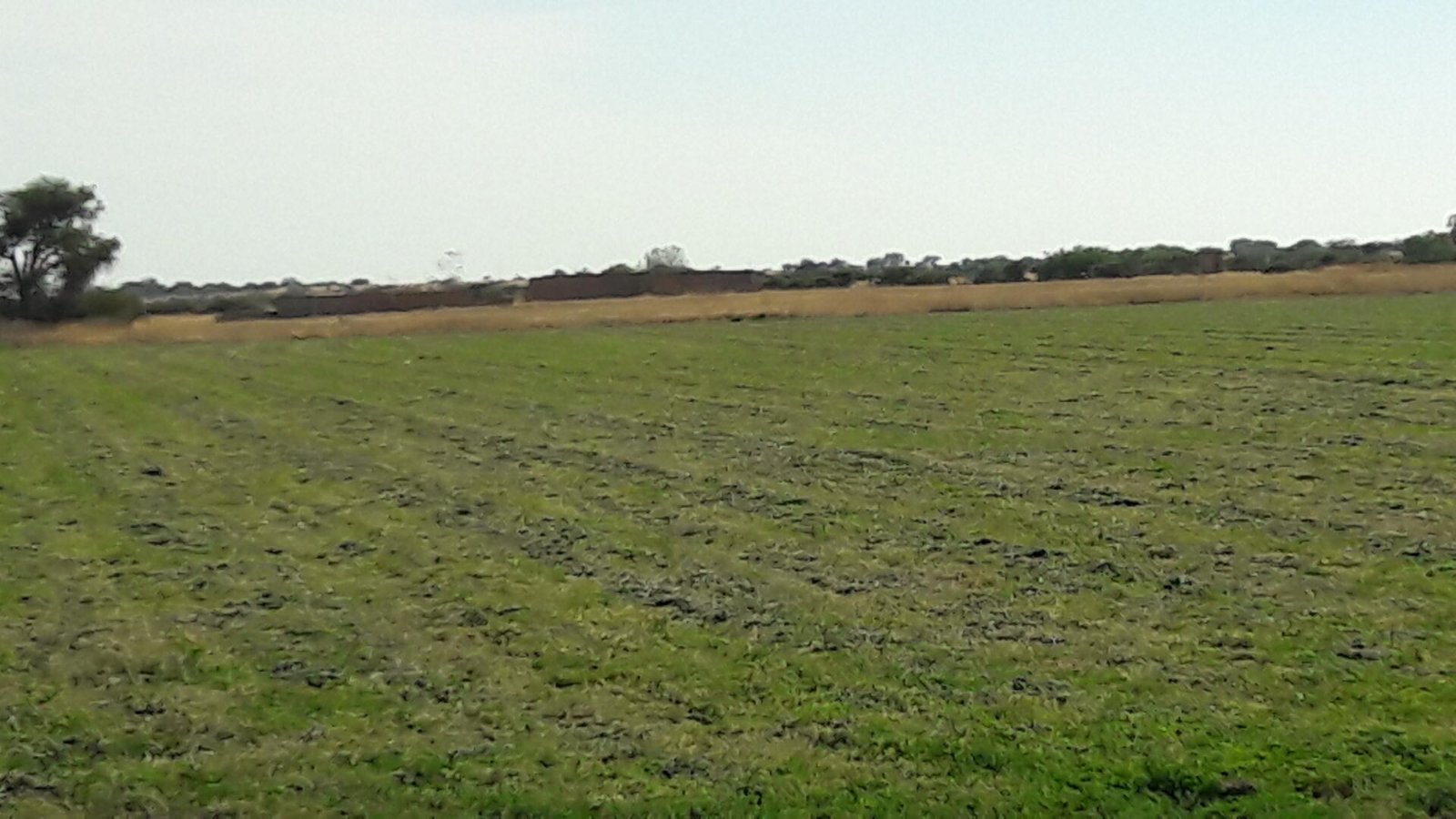 7 hectareas con derecho de agua