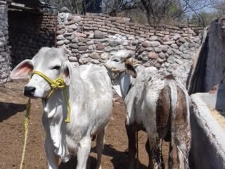 pic53op5oyytufpei45923956307fabf4dc354c7205772556d1029-1-scaled