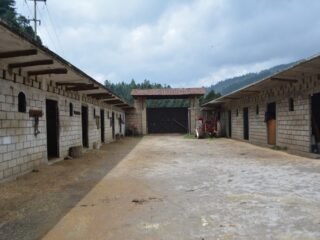 pic8krejqm9trzvwma9f430493d68aa46de47db40d58a1b4301826