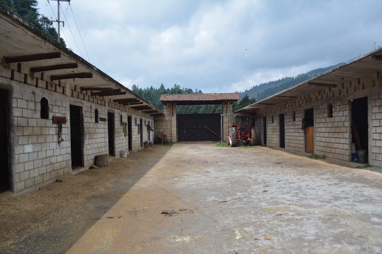 Pensión para caballos en el Estado de México