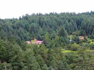 picdqt70hwf6hu3y3q8eef2665c8ddc3d471cef31a9290b4df867-1