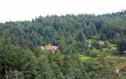 EXCLUSIVOS TERRENOS EN FRACC CAMPESTRE RESIDENCIAL