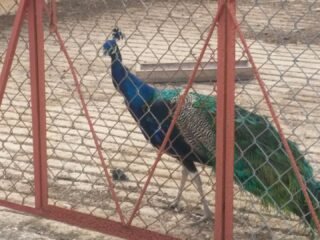 picicxhxmu8zq5d2za062a3bd1c0a2b9b8d1cc9d64ba6428bd560-1