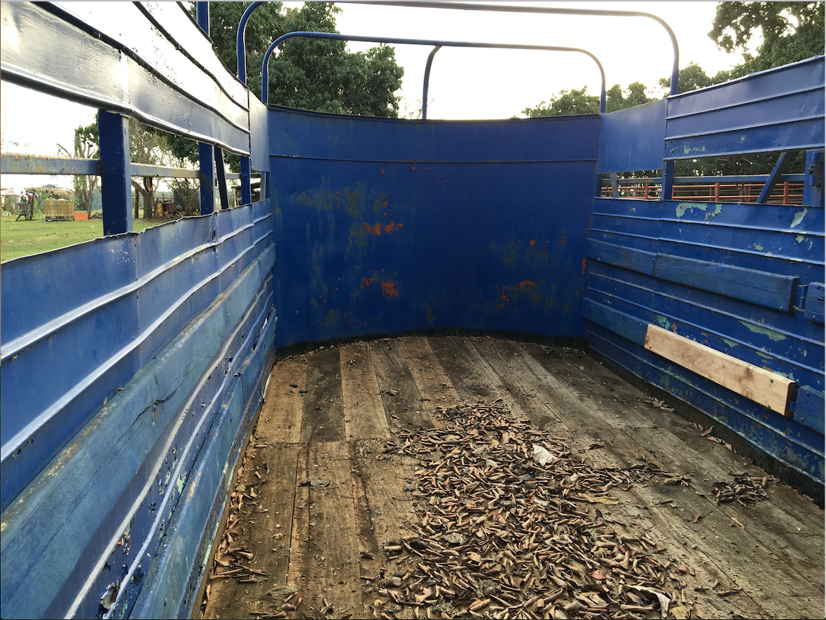 Remolque tipo jaula ganadero