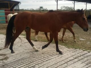 picmqx0eroob6wdicp72093cf1f561587c5b8f2030d47e14e3561-1