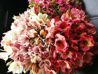 picmyzjchxqi1treyh0a67355a662820cc2bab3c0714b6cb00506-1