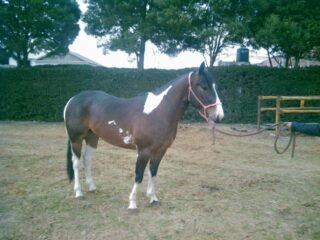 picnz86tfwiv065a3ne9e3401272dccb7ec87f1162b28babc11221-1