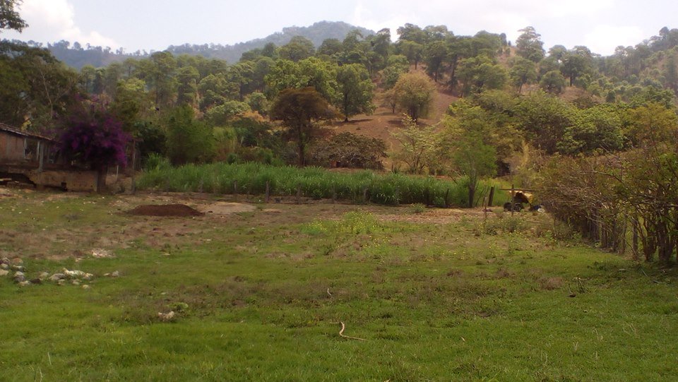 Se vende Rancho de 752 has Villa Corzo Chiapas