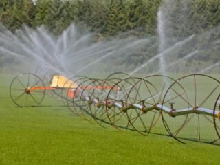 picplulqg70dg1sjr61447504018bbb43ddec25f3704a84c2f2306