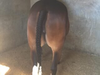 picqbzu7jqtblutim37dc2f7b95c53be115c7f176dc4ceb7ac902-scaled