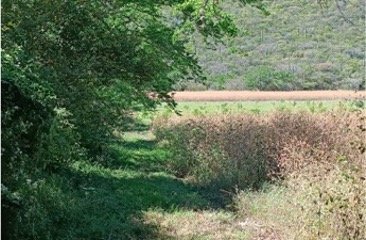 Se pone a la venta terreno con agua garantizada con pozo en grupo de 4 socios. en la Encantada, Fresnillo, Zacatecas.