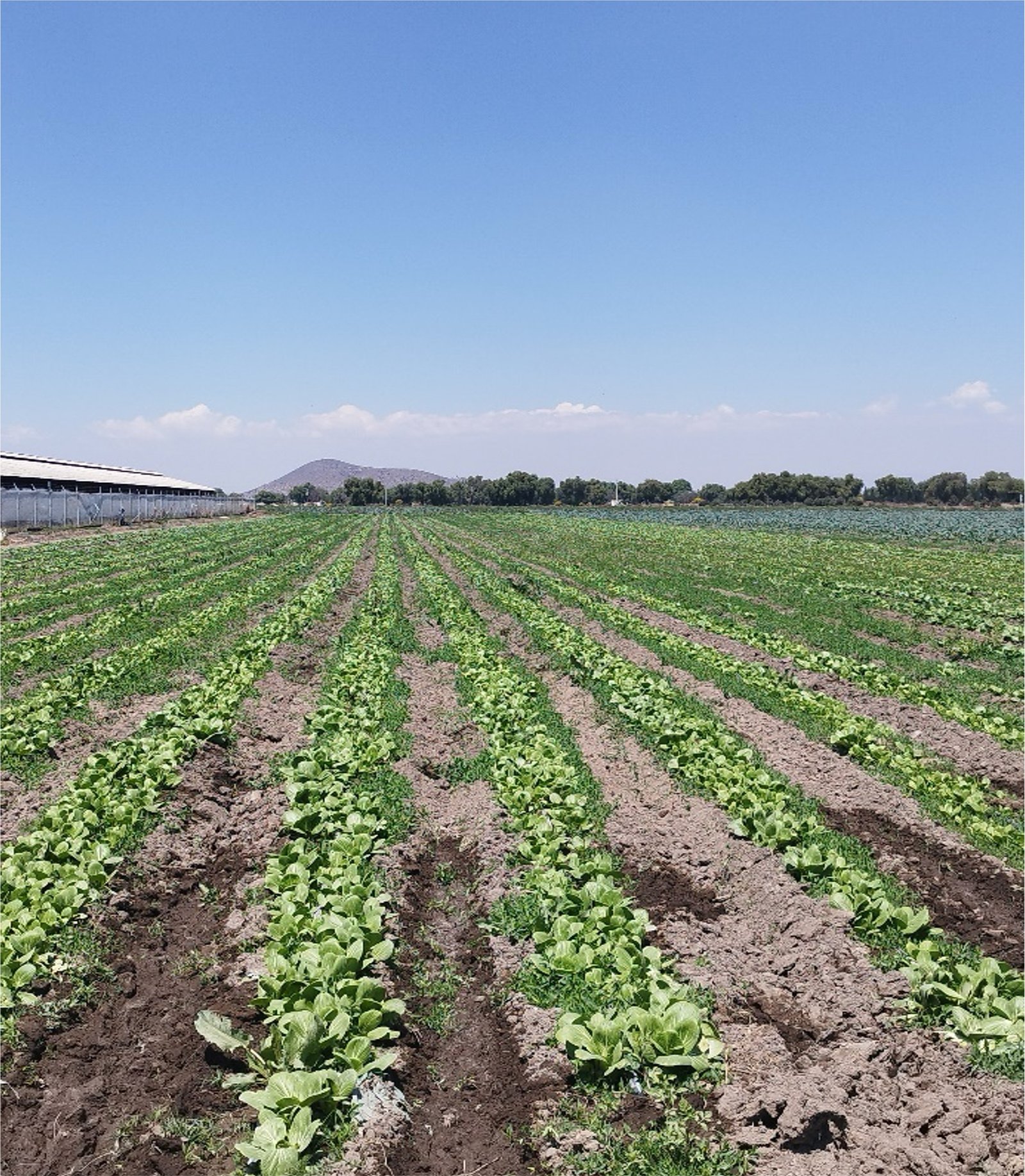 Se pone a la venta terreno con agua garantizada con pozo en grupo de 4 socios. en la Encantada, Fresnillo, Zacatecas.