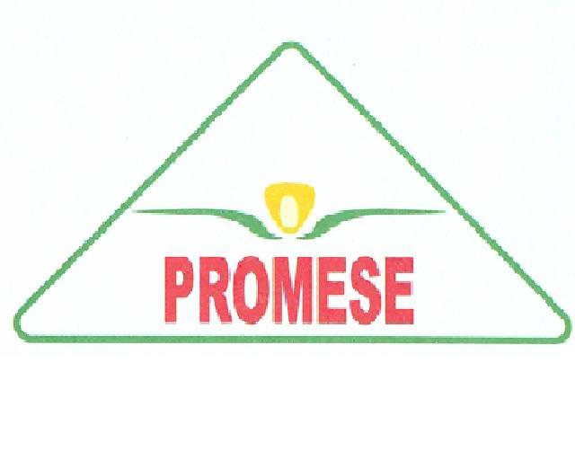 SEMILLA DE MAIZ